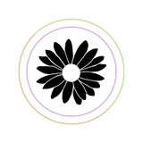 The "Cami O'Milla" user's logo