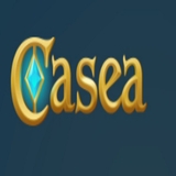 The "CASEA Norge" user's logo