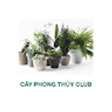 The "CÂY PHONG THỦY CLUB" user's logo