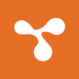 The "Centre for Multicultural Youth" user's logo