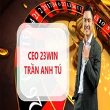 The "CEO 33win Trần Anh Tú" user's logo
