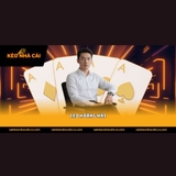 The "CEO Hoàng Hải" user's logo