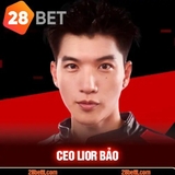 The "CEO Lior Bảo" user's logo
