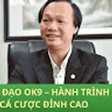 The "CEO Phong Đạt" user's logo