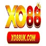 The "CEO Shun Nguyễn" user's logo