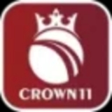 The "Crown11 Plus" user's logo
