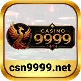 The "csn9999net" user's logo