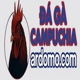 The "dagacampuchiaard" user's logo