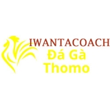 The "Đá Gà Trực Tiếp Thomo" user's logo