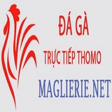 The "Đá Gà Trực Tiếp Thomo" user's logo