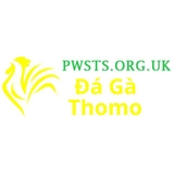 The "Đá Gà Trực Tiếp Thomo" user's logo