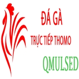 The "dagaqmulsed" user's logo