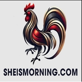 The "dagasheis" user's logo