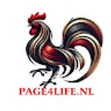 The "ĐÁ GÀ THOMO PAGE4LIFE" user's logo