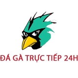 The "Đá Gà Trực Tiếp 24h" user's logo
