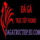 The "Đá Gà Trực Tiếp" user's logo
