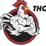 The "ĐÁ GÀ TRỰC TIẾP CAMPUCHIA GÀ THOMO HÔM NAY" user's logo