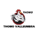 The "TRỰC TIẾP ĐÁ GÀ THOMO HÔM NAY" user's logo