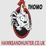 The "ĐÁ GÀ TRỰC TIẾP THOMO" user's logo
