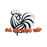 The "ĐÁ GÀ TRỰC TIẾP THOMO" user's logo