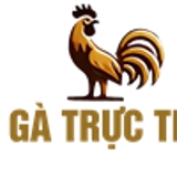 The "ĐÁ GÀ TRỰC TIẾP" user's logo