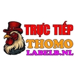 The "ĐÁ GÀ TRỰC TIẾP" user's logo