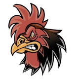 The "Đá gà trực tiếp" user's logo