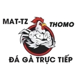 The "XEM ĐÁ GÀ TRỰC TIẾP" user's logo