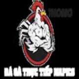 The "ĐÁ GÀ TRỰC TIẾP CAMPUCHIA GÀ THOMO HÔM NAY" user's logo