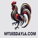 The "dagatructiepnftue" user's logo