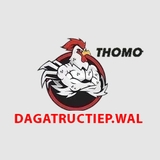 The "ĐÁ GÀ TRỰC TIẾP WALES" user's logo