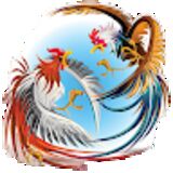 The " Đá gà trực tiếp thomo campuchia - Đá Gà TT " user's logo