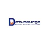 The "datumsurge ai" user's logo