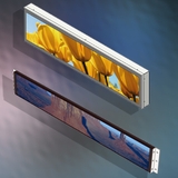 The "display lcd" user's logo