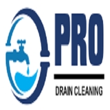 The "PRO Drain Cleaning of Louisville" user's logo