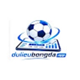 The "Dữ liệu bóng đá" user's logo