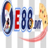 The "e88diy" user's logo