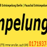 The "Sperrmüll Entrümpelung 80 Euro" user's logo