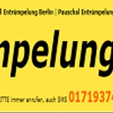The "Entrümpelung 80 Euro heute" user's logo