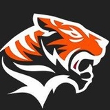 The "EVOSGAMING. OFFICIAL" user's logo