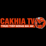 The "festivalcruises com thao túng kết quả" user's logo