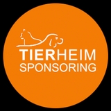 The "FFTIN seriös" user's logo