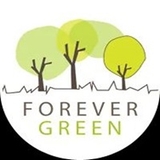 The "forevergreenhcs" user's logo