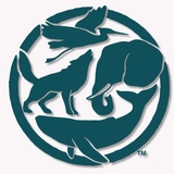 The "CallForTheWild" user's logo
