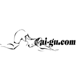 The "gaigucom" user's logo