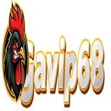 The "GAVIP68 forum" user's logo