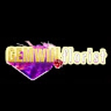 The "Gemwin" user's logo