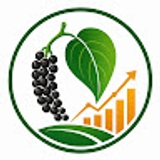 The "Gia Tieu" user's logo