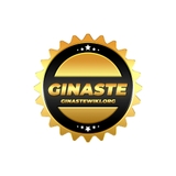 The "GINASTE" user's logo