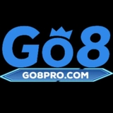 The "Go8pro com" user's logo